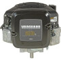 Moteur BRIGGS & STRATTON 3867770011G1