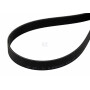 Courroie KUBOTA 3J03666320