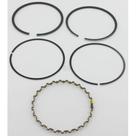 Segments KOHLER 4110801S