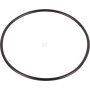 Bague LANDINI 365513X1