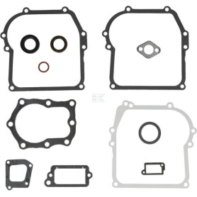 Kit BRIGGS & STRATTON 391662