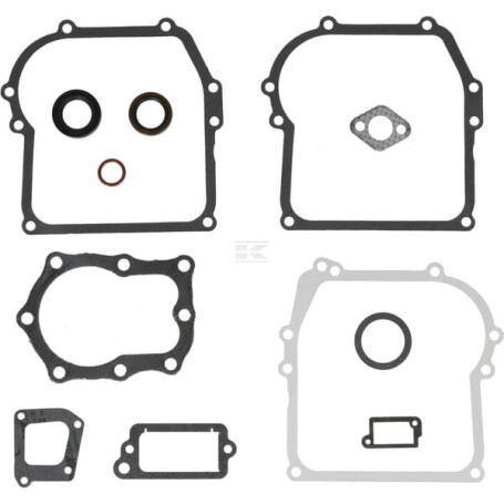 Kit BRIGGS & STRATTON 391662