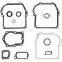 Kit BRIGGS & STRATTON 391662