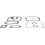 Kit BRIGGS & STRATTON 391662