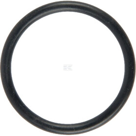 Bague LEMKEN 37810283