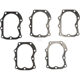 Joint de culasse BRIGGS & STRATTON 4121