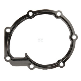 Joint MASSEY FERGUSON (AGCO) 4226613M1