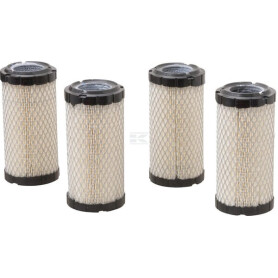Filtre BRIGGS & STRATTON 4234