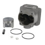 Cylindre complet STIHL 42230201200KR