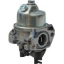 Carburateur AL-KO 418646