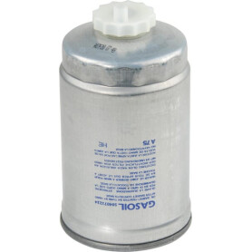 Filtre LANDINI 4207949M1