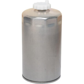 Filtro LANDINI 4215225M2