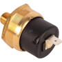 Interrupteur MASSEY FERGUSON (AGCO) 4305135M2