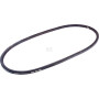 Courroie LANDINI 434493A3