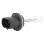 Ampoule CASE IH 44995162
