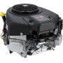 Moteur BRIGGS & STRATTON 44N6770017B5