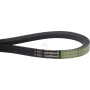Courroie OPTIBELT 47406268AB