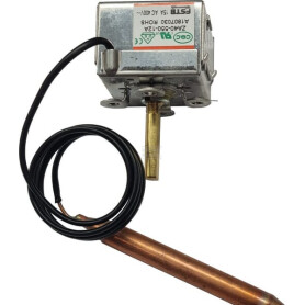 Thermostat MASTER 4615743