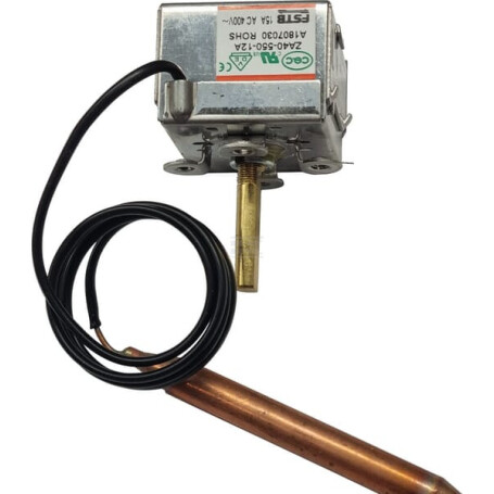 Thermostat MASTER 4615743