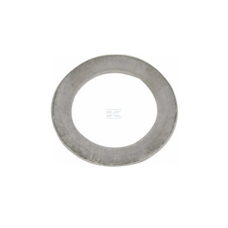 Bague d'appui FPT 4667452FPT