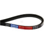 Courroie AGRIA 479073