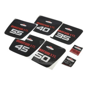 Kit BRIGGS & STRATTON 498606