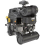 Moteur BRIGGS & STRATTON 49E8770014G1