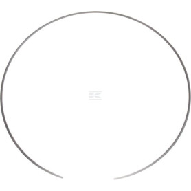 Circlip CNH 4997571