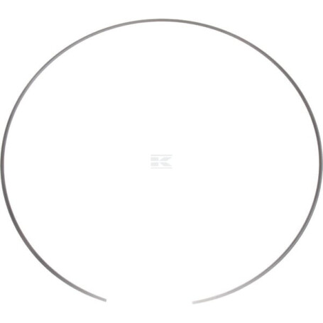 Circlip CNH 4997571