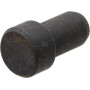 Chasse goupille RAICO 4954341N