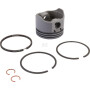 Piston BRIGGS & STRATTON 499909