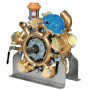 Pumpe BERTOLINI 496010973VD