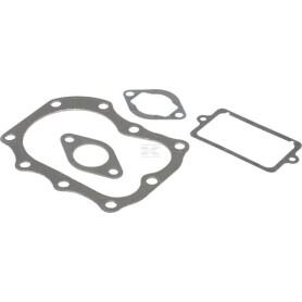 Kit BRIGGS & STRATTON 498534