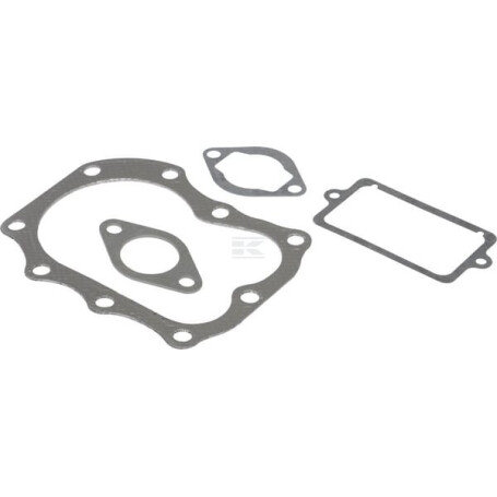 Kit BRIGGS & STRATTON 498534