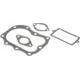 Kit BRIGGS & STRATTON 498534