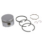 Piston BRIGGS & STRATTON 499958