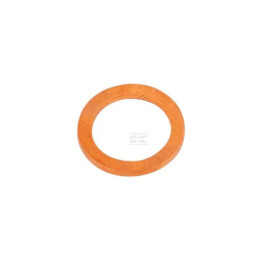 Bague d'étanchéité FPT 4894721FPT