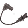 Capteur NEW HOLLAND 4890189