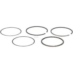 Ensemble de bagues BRIGGS & STRATTON 493782