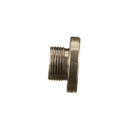 Bouchon fileté FPT 4894139FPT