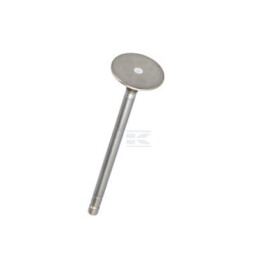 Soupape d'échappement FPT 4895051FPT
