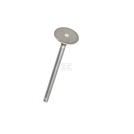 Soupape d'échappement FPT 4895051FPT