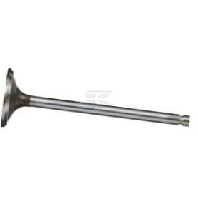 Soupape d'échappement FPT 4895188FPT