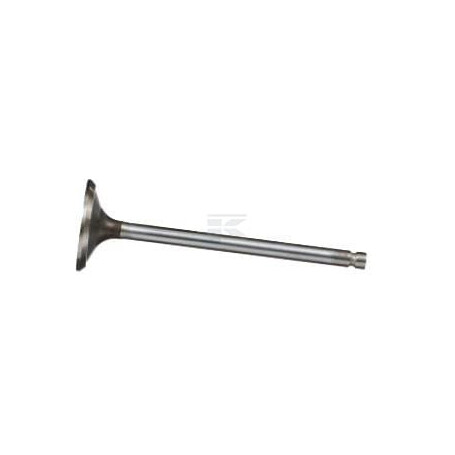 Soupape d'échappement FPT 4895188FPT