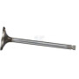Soupape d'échappement FPT 4895188FPT