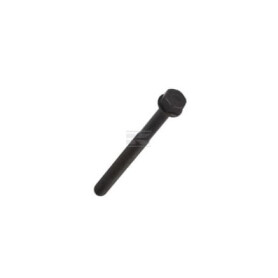 Boulon FPT 4891024FPT