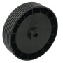 Roue WOLF-GARTEN 4907500