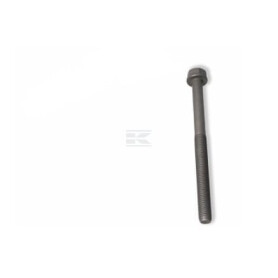 Boulon FPT 4891025FPT