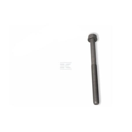 Boulon FPT 4891025FPT