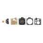 Kit de garniture BRIGGS & STRATTON 492281